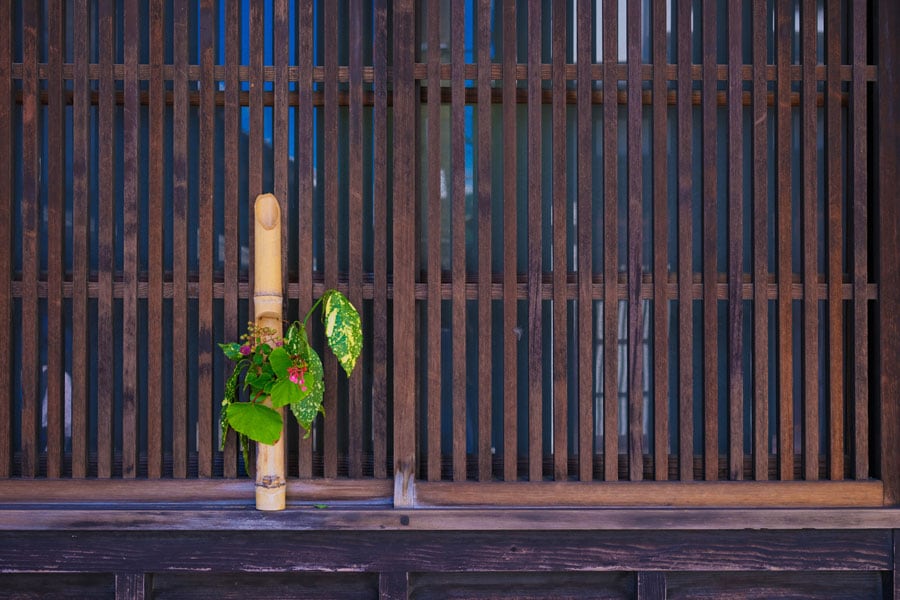 竹原の名にふさわしく、民家の軒先には竹を用いた季節のしつらいが。