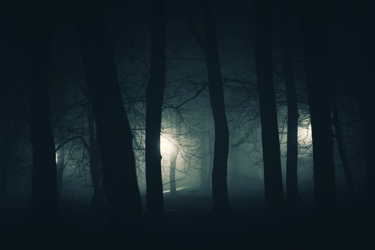 写真はイメージです。提供：アフロ