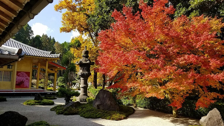 不動山 青隆寺。