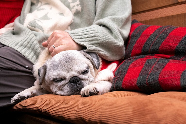 アザーカット。