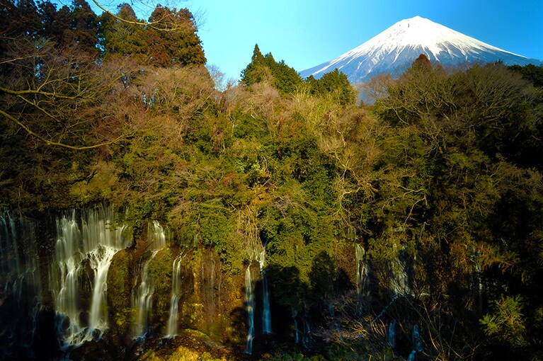 白糸の滝。写真：アフロ