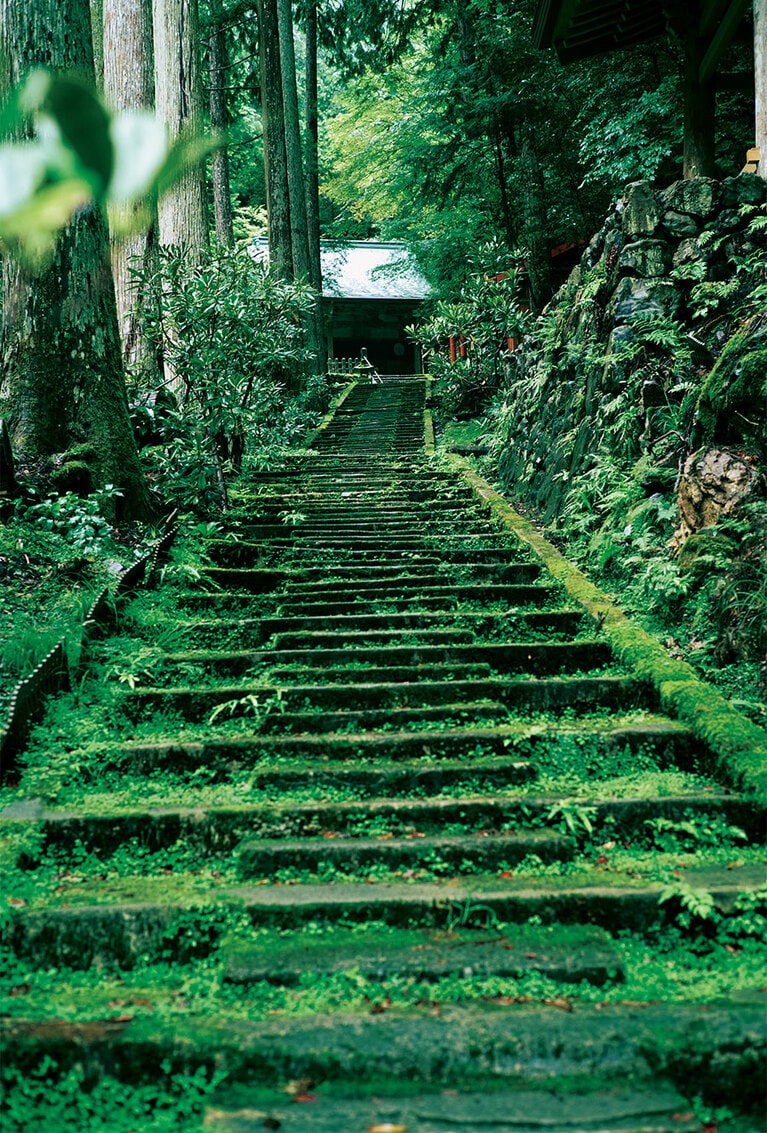 10:30＠志明院。