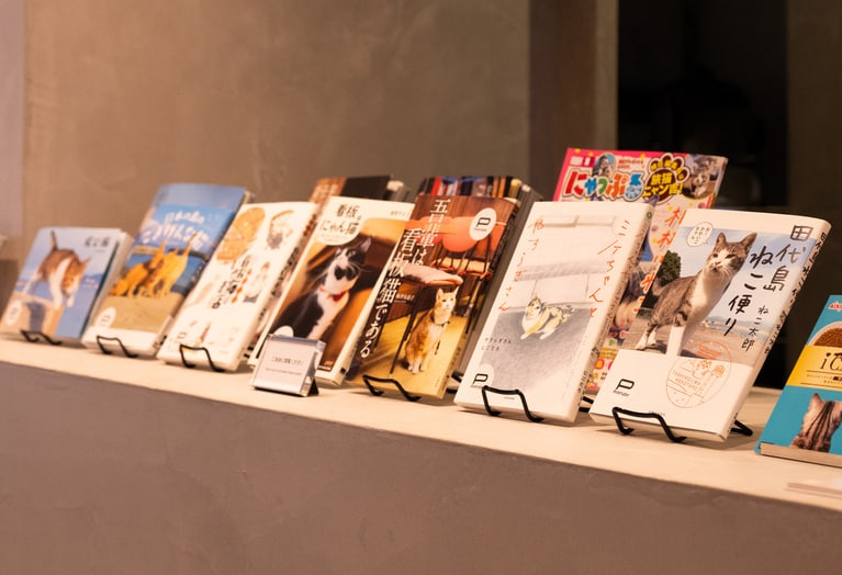 店内に並んでいる猫関連本も閲覧できる。
