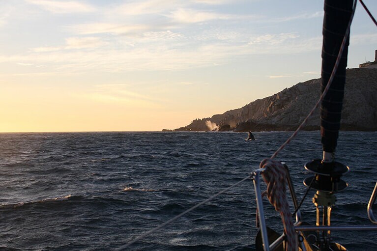 夕陽を背景にクジラがジャンプ！