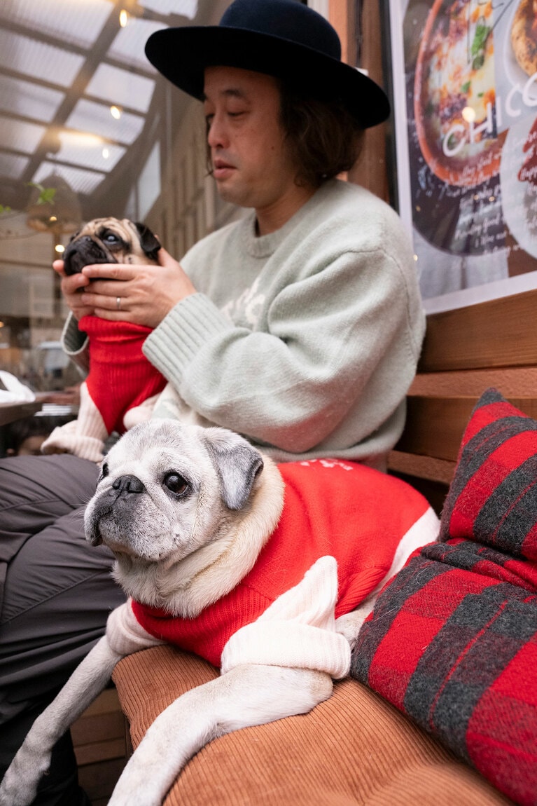 アザーカット。