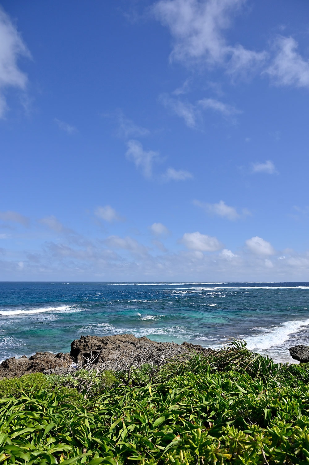 島の北端にあるハビャーン。奥に見える岩礁に、アマミキヨが降り立ったという。