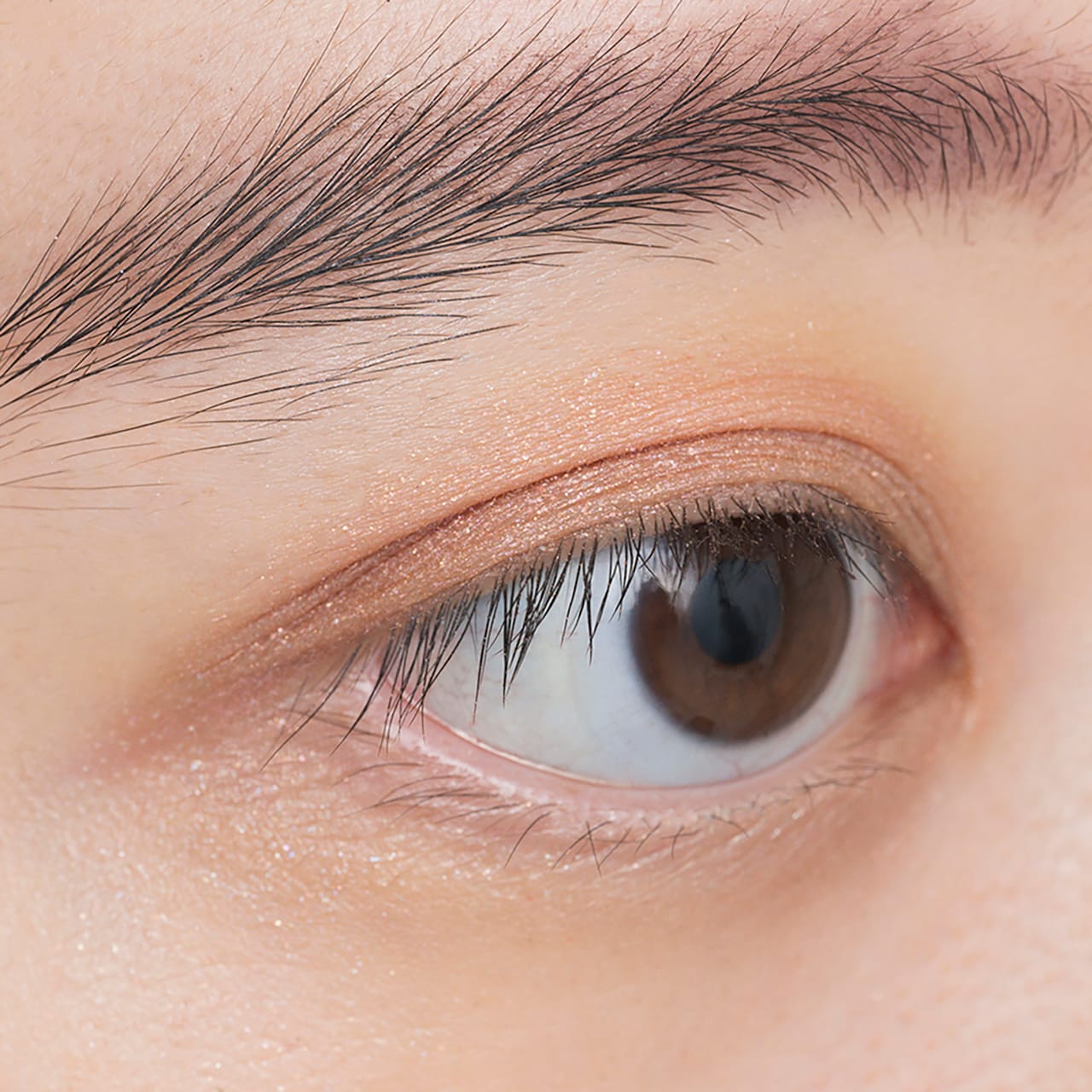 d21 Shinsekai〈新世界〉使用イメージ。