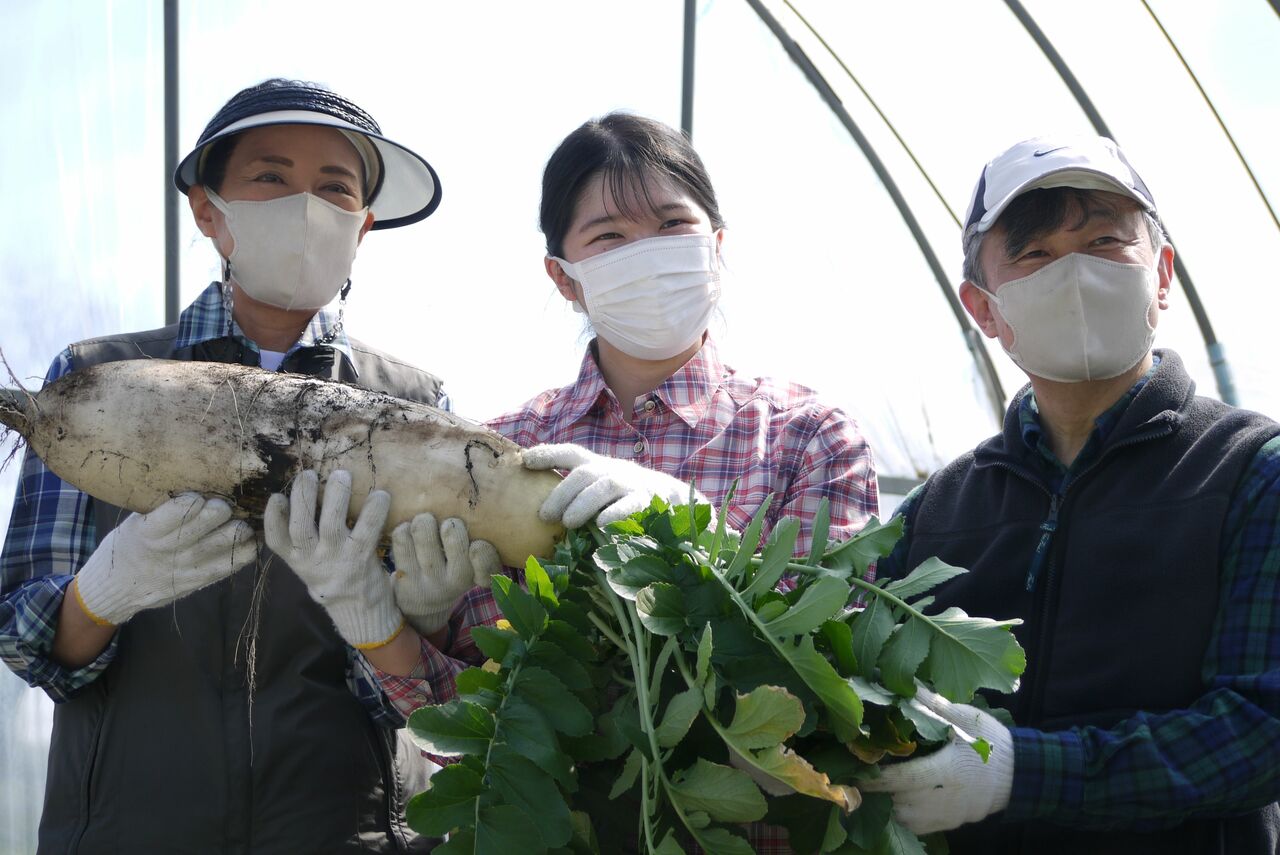 天皇ご一家が御料牧場で大根を収穫されるご様子　宮内庁提供