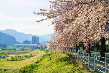 日本の春・厳選風景16年【 風景写真 3-4月号　2007〜2022年】16冊 驚きの値段で 日本の春・厳選風景16年【 風景写真 3-4月号 2007
