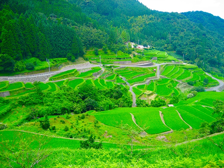 【福岡県】つづら棚田。©うきは観光みらいづくり公社