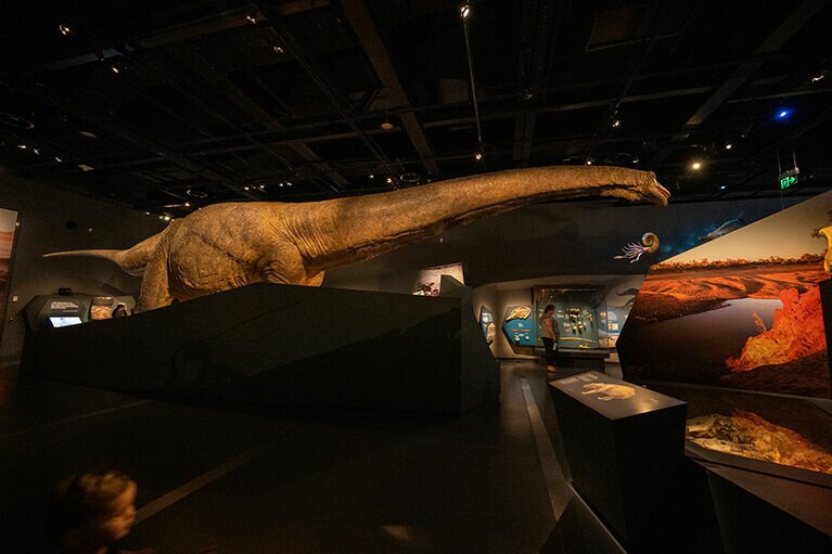 実物大の恐竜も。