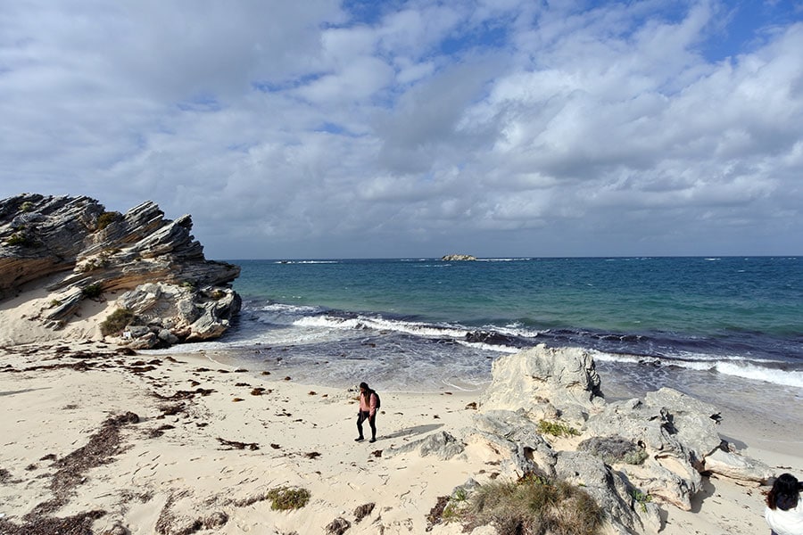ロットネスト島には83のビーチや湾があります。8月下旬～11月はザトウクジラもやってきます。