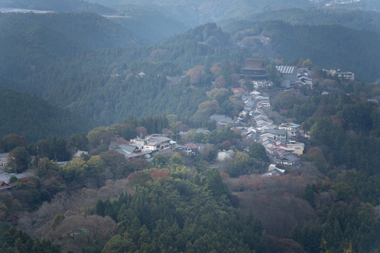 奈良と大阪の県境である金剛山も望める絶景スポット。春の桜が散る頃には、桜の花が谷下から舞い上がる桜吹雪を見ることができる。