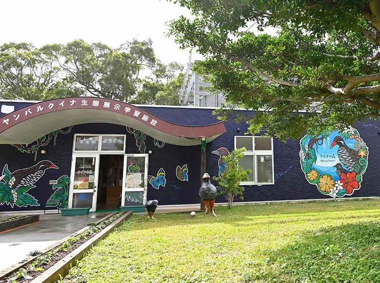 館内には、観察ブースのほか、資料の展示なども。