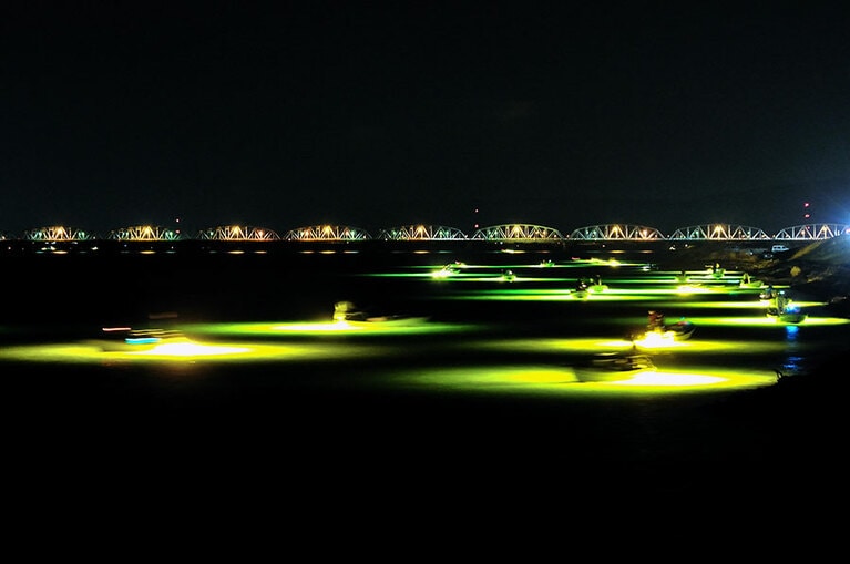 吉野川のシラスウナギ漁。
