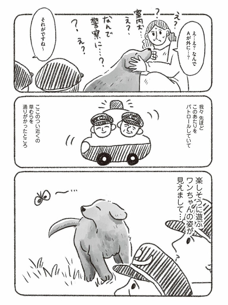 『老犬とつづ井』。