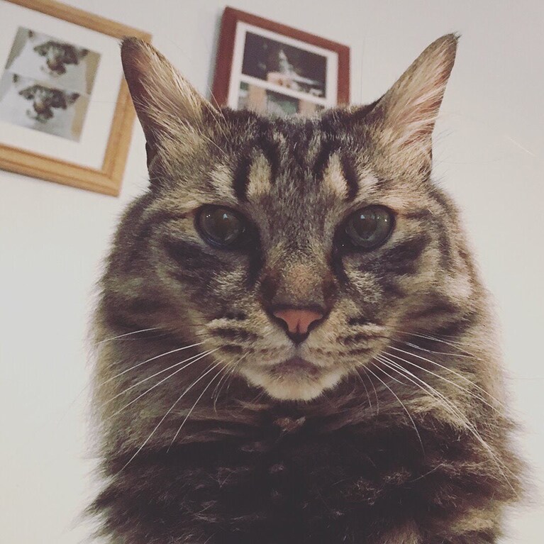 瞳孔で表情がこんなに変わる！