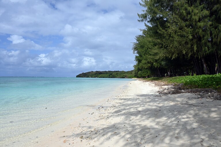 駐車スペースからカジュアリーナの木々を抜けると、白砂ビーチが。