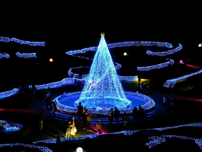 【宮城県】冬のイルミネーションinみちのく公園。