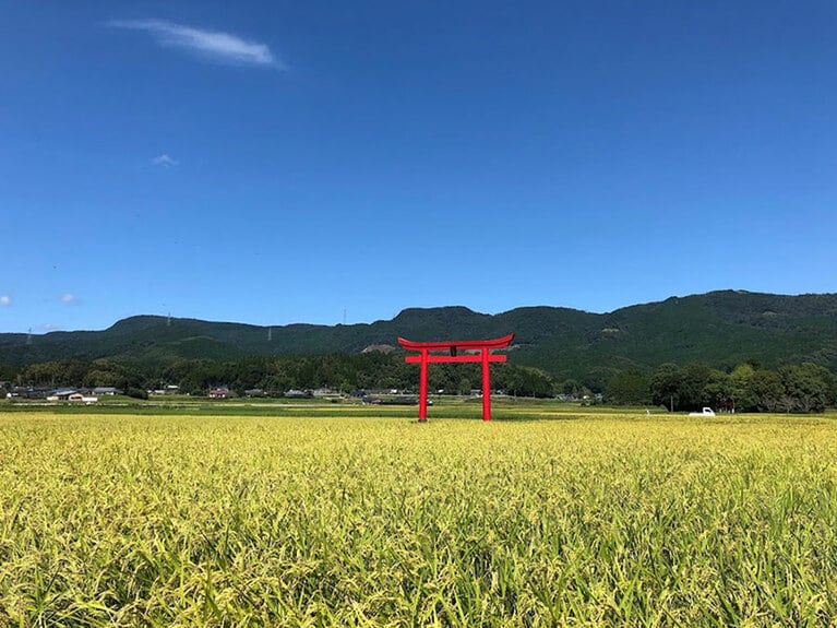 菅原神社の鳥居。