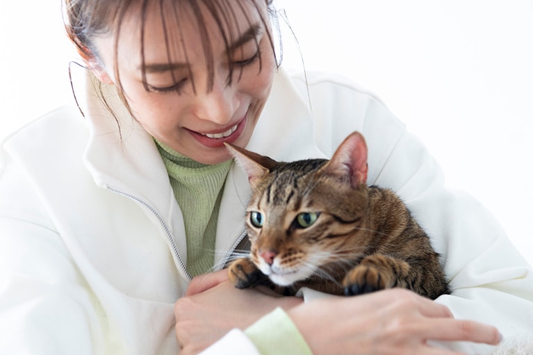宮田さんの愛猫は、ベンガルの恭介くん（11歳♂）と虎太郎くん（写真・4歳♂）。実家には犬、自宅には他にもフクロウがいるなど、動物への愛は深い。
