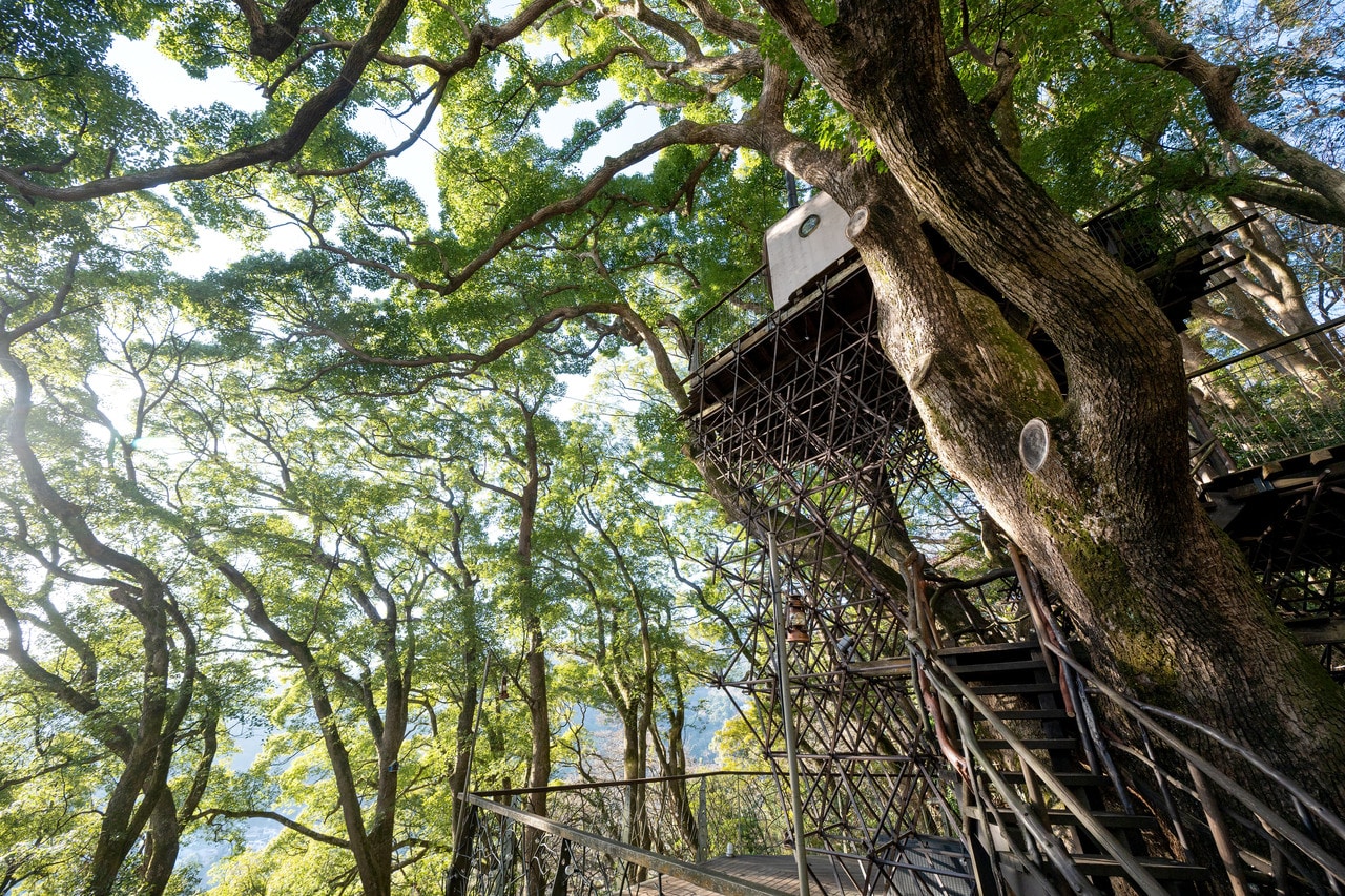 幼いころ夢見たようなツリーハウスが現実に！