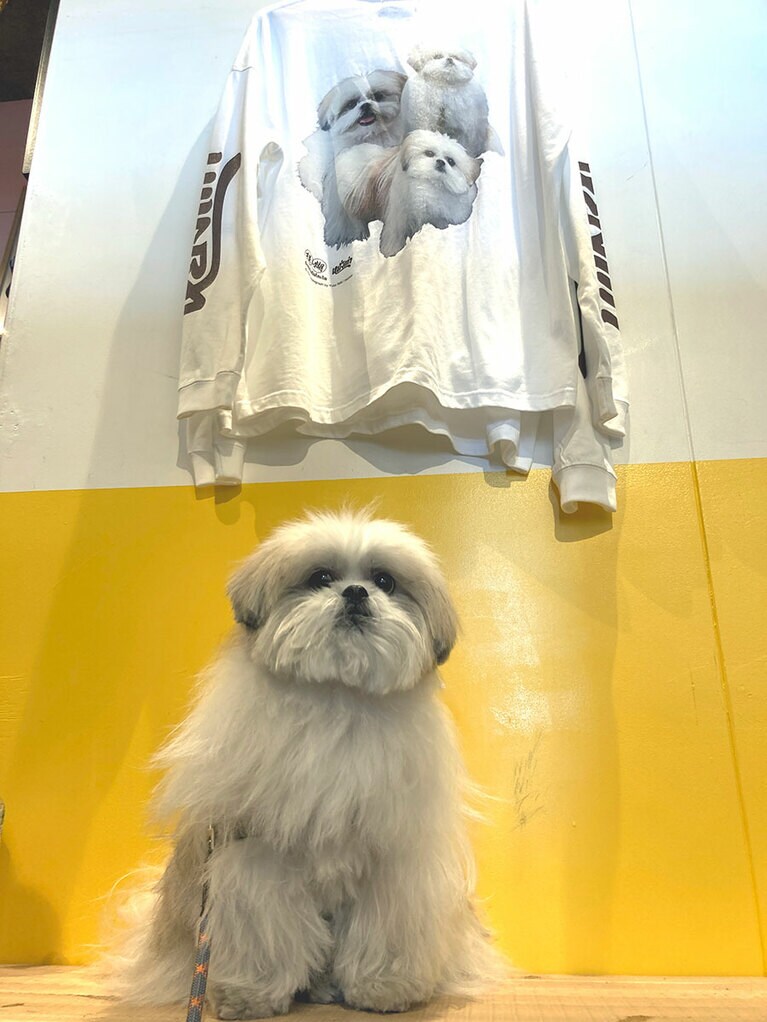 ロンTはホワイト、アシッドブルー、サンドベージュの3色、キャップはネイビーとグリーンの2色。