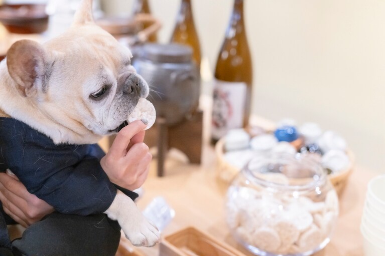 ウェルカムサービスは、ワンコ用も完備。ぼんはソフト食感のおせんべいを試食。