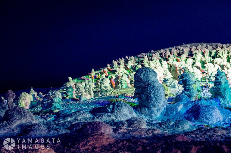 樹氷ライトアップ。