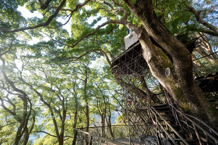 幼いころ夢見たようなツリーハウスが現実に！
