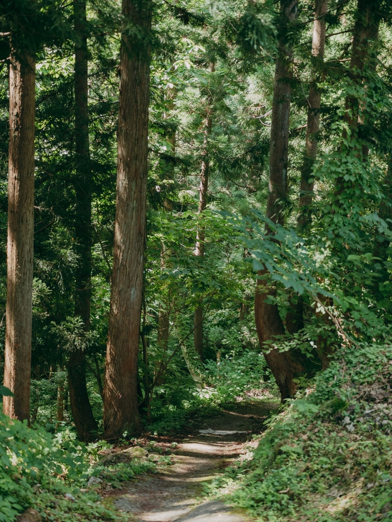 歩くことを基本に、走る、自転車など幅広いスタイルで近年親しまれているトレイル旅。