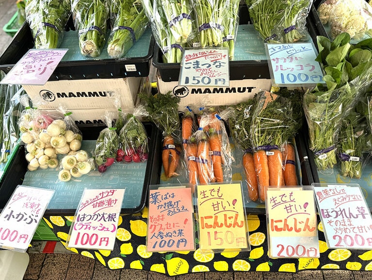 こちらも農家のお店。無農薬・無化学肥料で育てた野菜が評判。／のりまきファーム