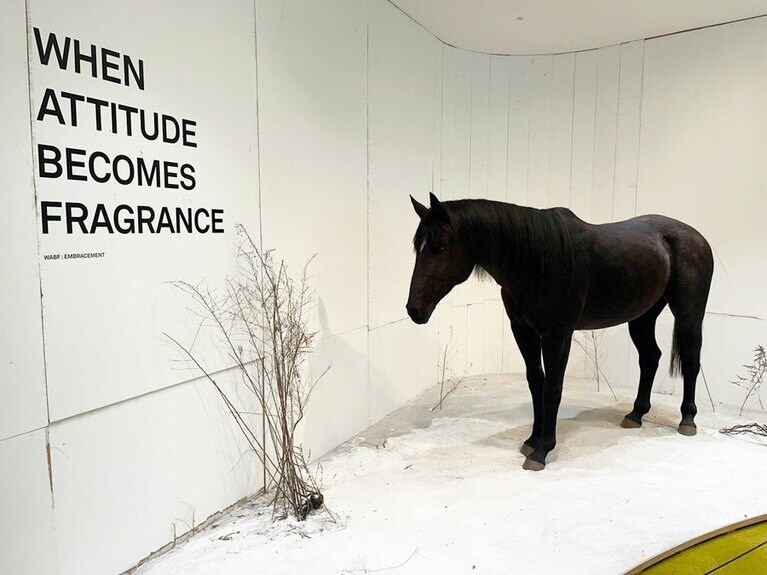 新沙 TAMBURINSでショッピング。