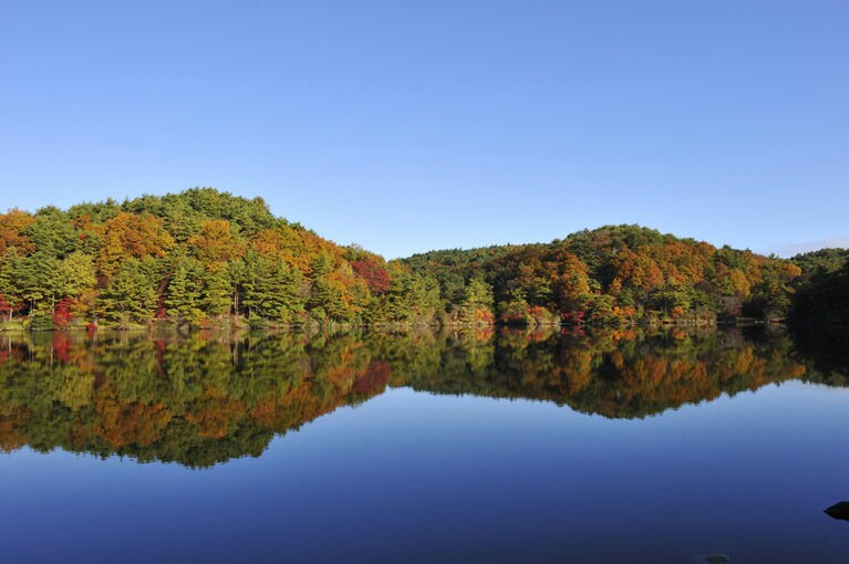 【岐阜県】根の上高原。