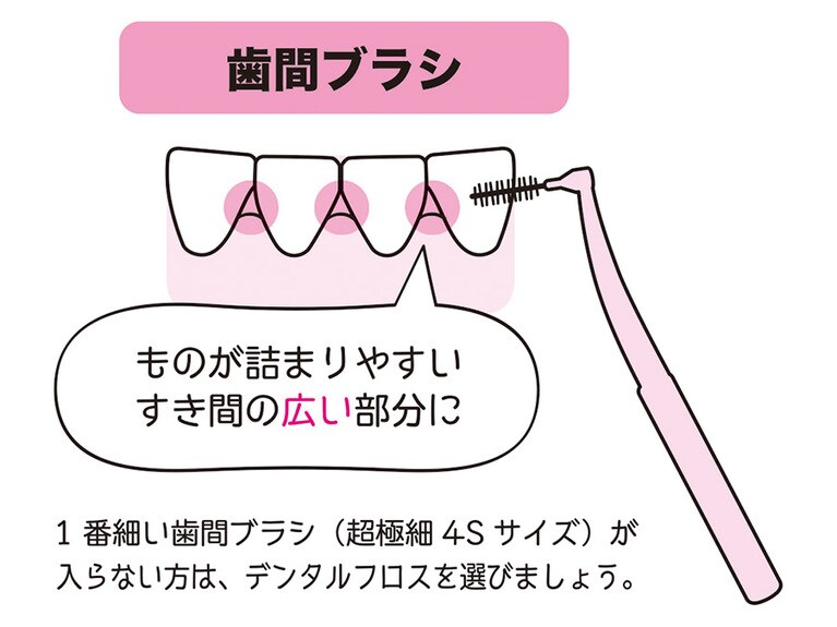 歯間ブラシを使おう。©森マサコ