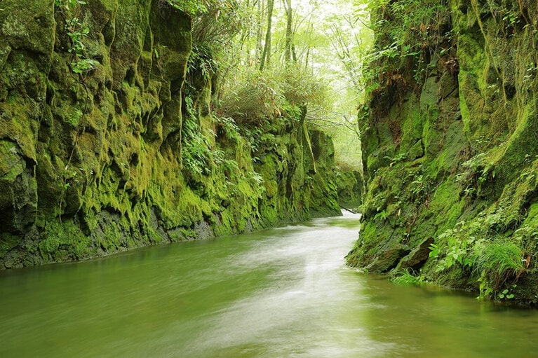 【北海道】樽前ガロー。