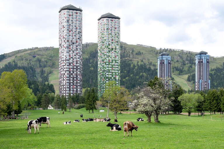 広大な敷地で牛がのびのびと育つ“ファームリゾート”。