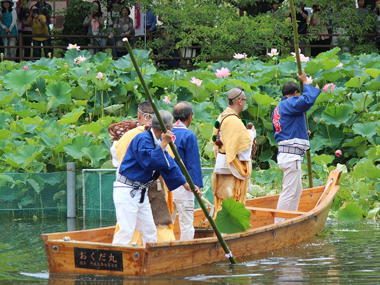 【奈良県】奥田の蓮取り行事。