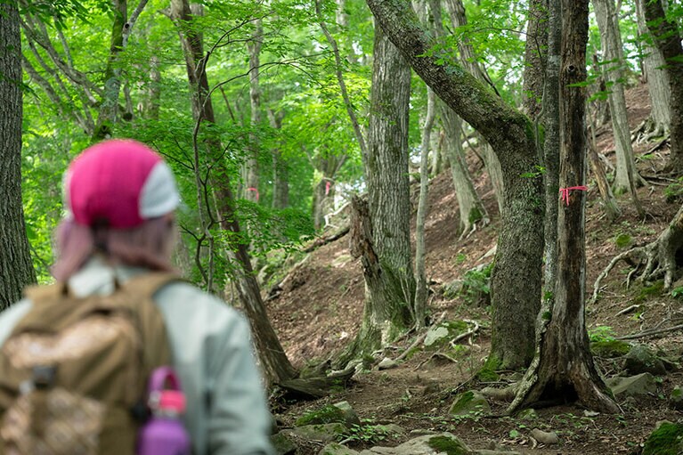 ピンクの目印に沿って歩きます。