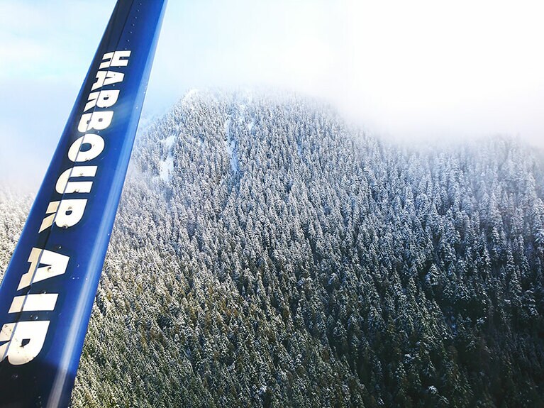 雪化粧された幻想的な山々。