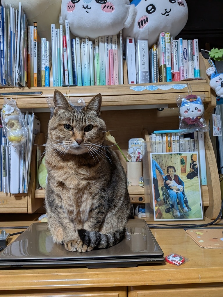 きらさんと美優君 ♀♂ 10歳と11歳。「いつもおねだりする姿が愛おしい」（飼い主さんより）。