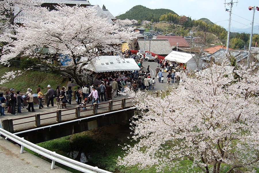 【長崎県】桜陶祭。