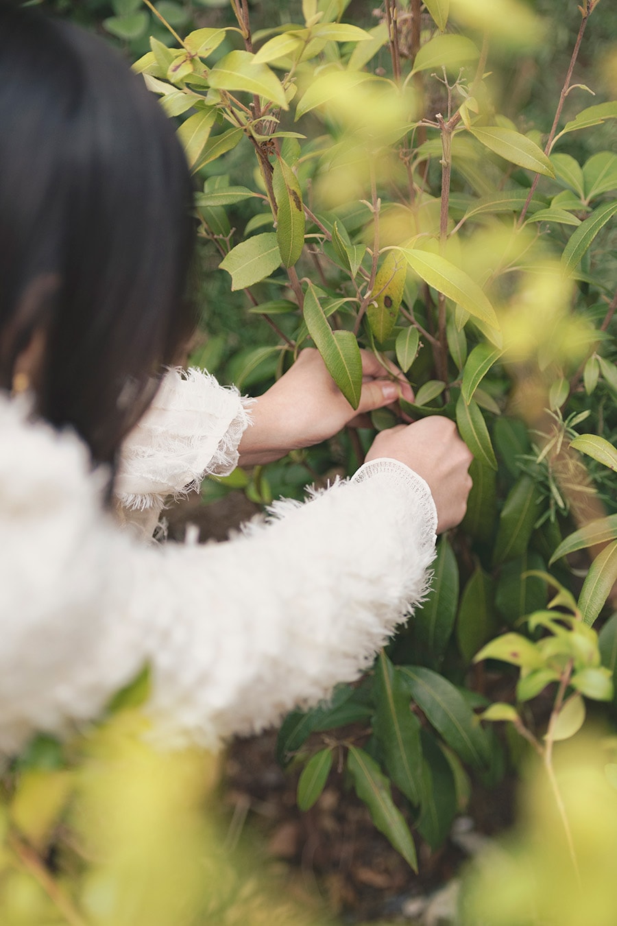 渋谷区ふれあい植物センターでの影山さん。