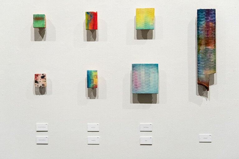 《鱗象》2020　木版、超難黄変エポキシ樹脂、アクリル絵具 17点の一部。