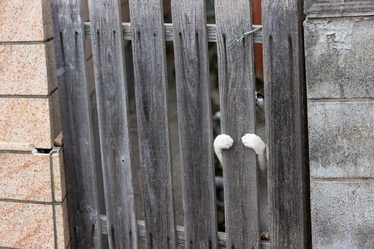 こちらも写真展に展示される予定の作品。　©沖昌之