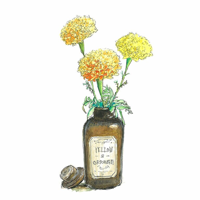 マリーゴールド。