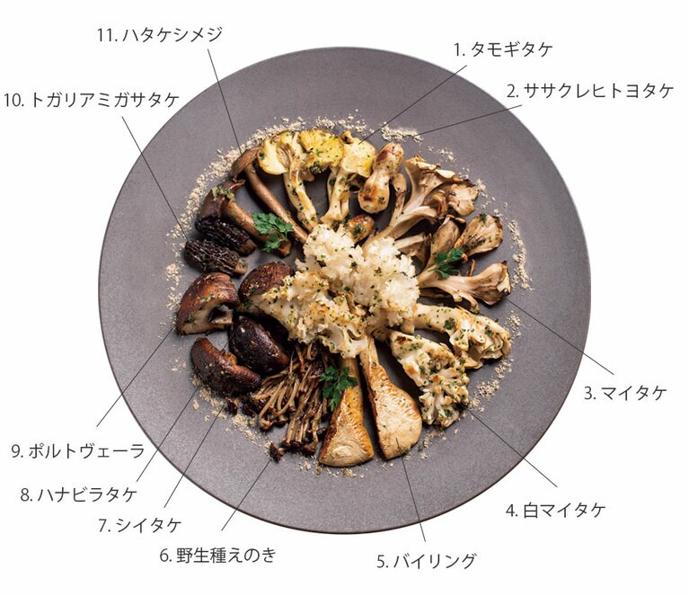 本日のキノコの一皿。使っているキノコ：右上から時計回りで、タモギタケ／ササクレヒトヨタケ／マイタケ／白マイタケ／バイリング／野生種えのき／シイタケ／ハナビラタケ／ポルトヴェーラ／トガリアミガサタケ／ハタケシメジ。