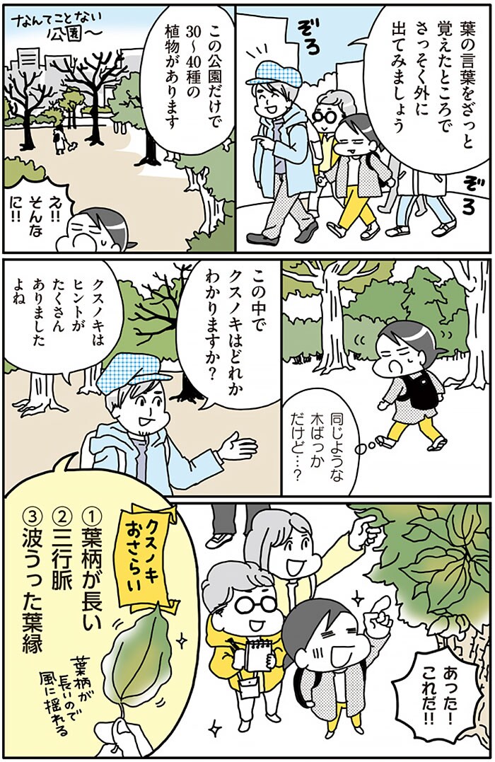 『まちなか植物観察のススメ』より。