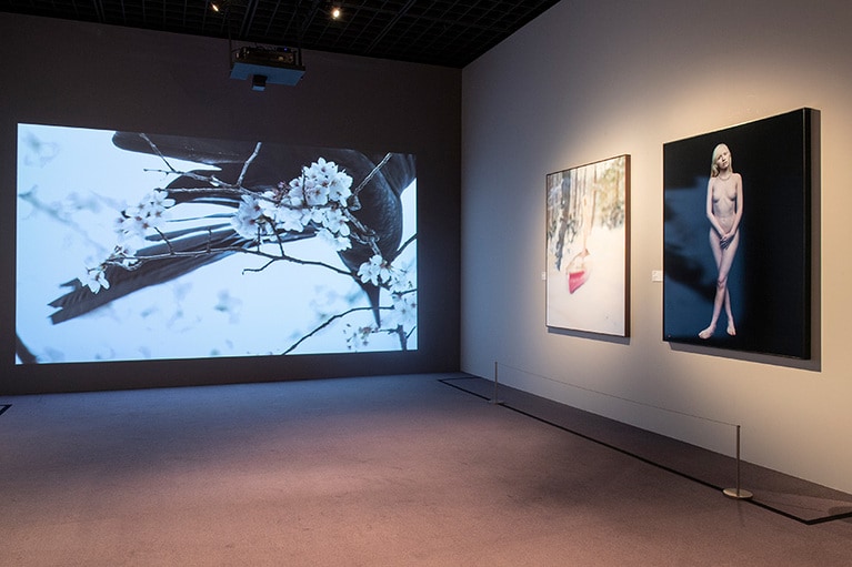 (写真左から) 宇壽山貴久子『からす』、上田義彦『M.Venus』、『Non title』。