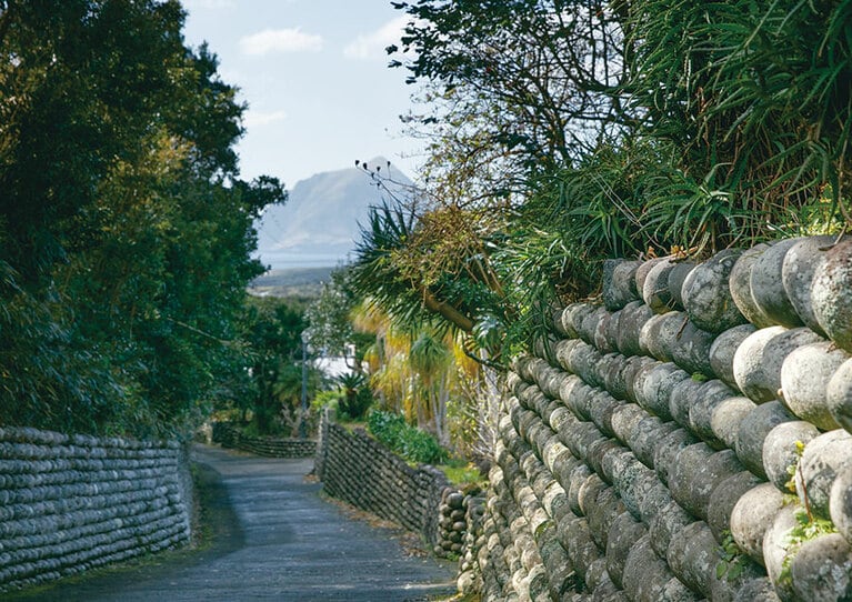 台風の通り道でもある八丈島では、浜から運んだ玉石で石垣を作り、住居を守ってきた。陣屋(島役所)があった大里地区には今もその景観が残っており、そぞろ歩くだけで異国に迷い込んだような情緒にひたれる。